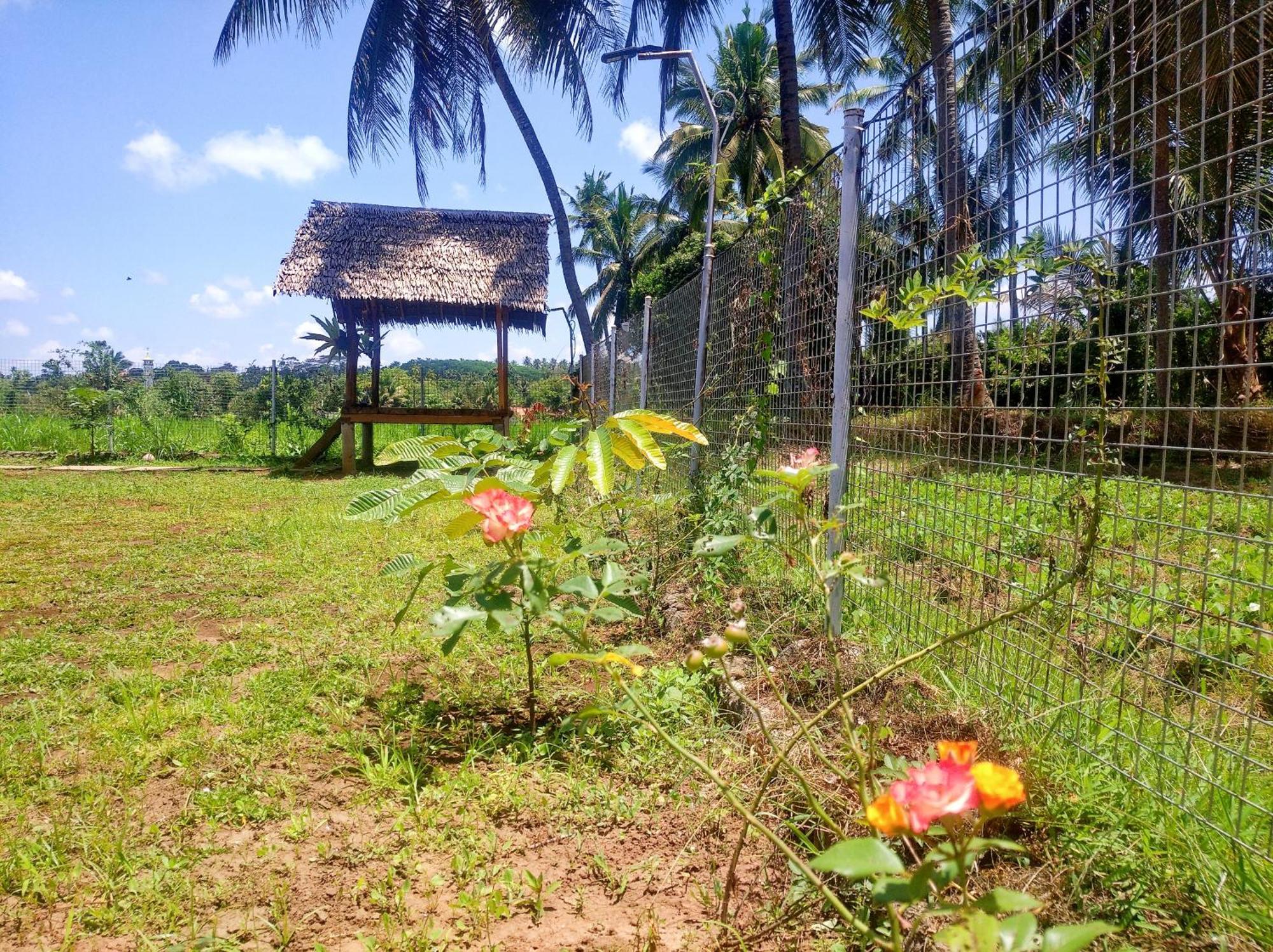 Wooden Kemiren Homestay Banyuwangi Banyuwangi  Exterior photo